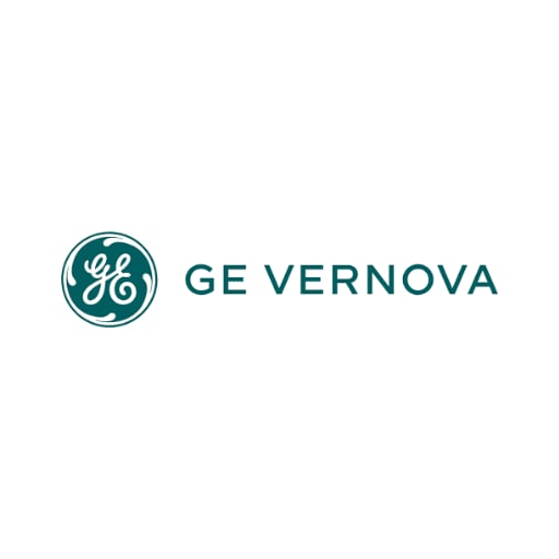 GE Vernova T&D India Ltd